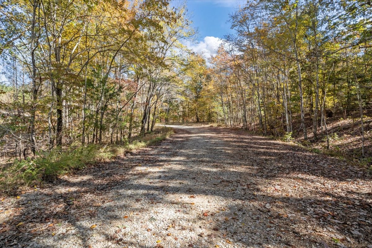 0 Birdsong Road Holladay, TN 38341 - Photo 16 of 47 a view of outdoor space with trees