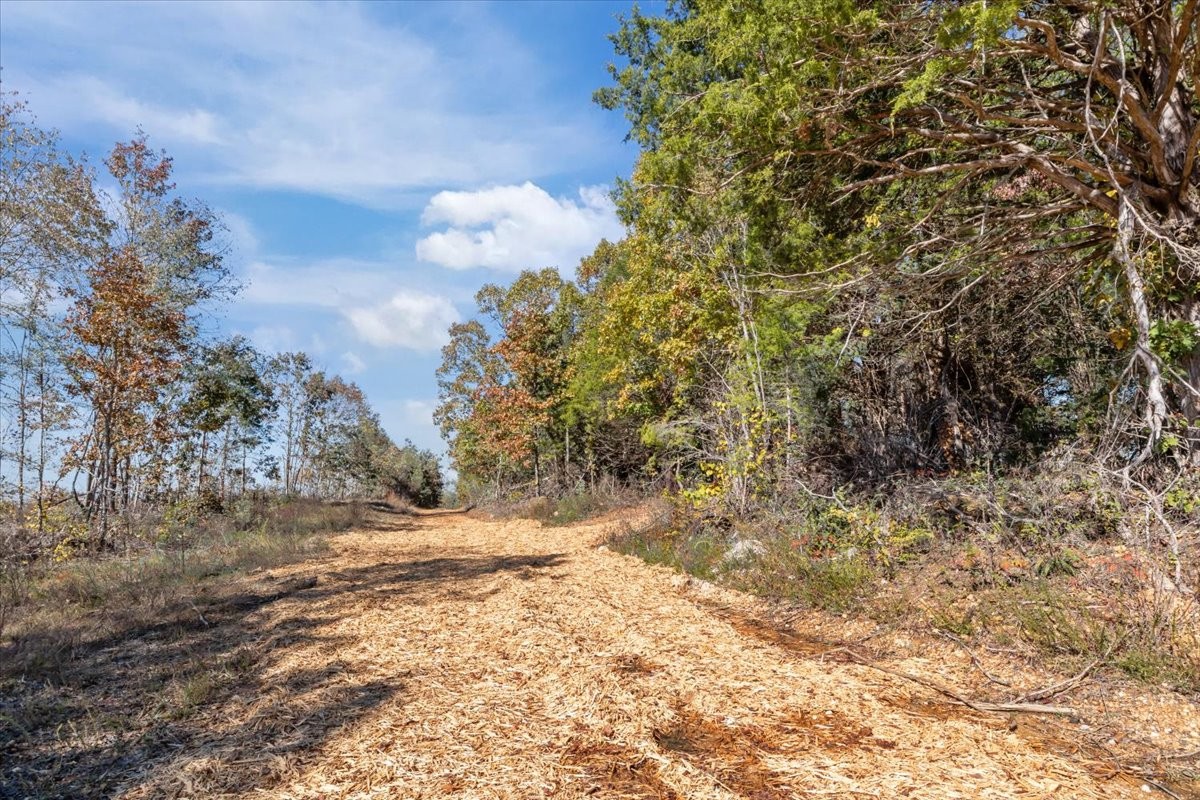 0 Birdsong Road Holladay, TN 38341 - Photo 17 of 47