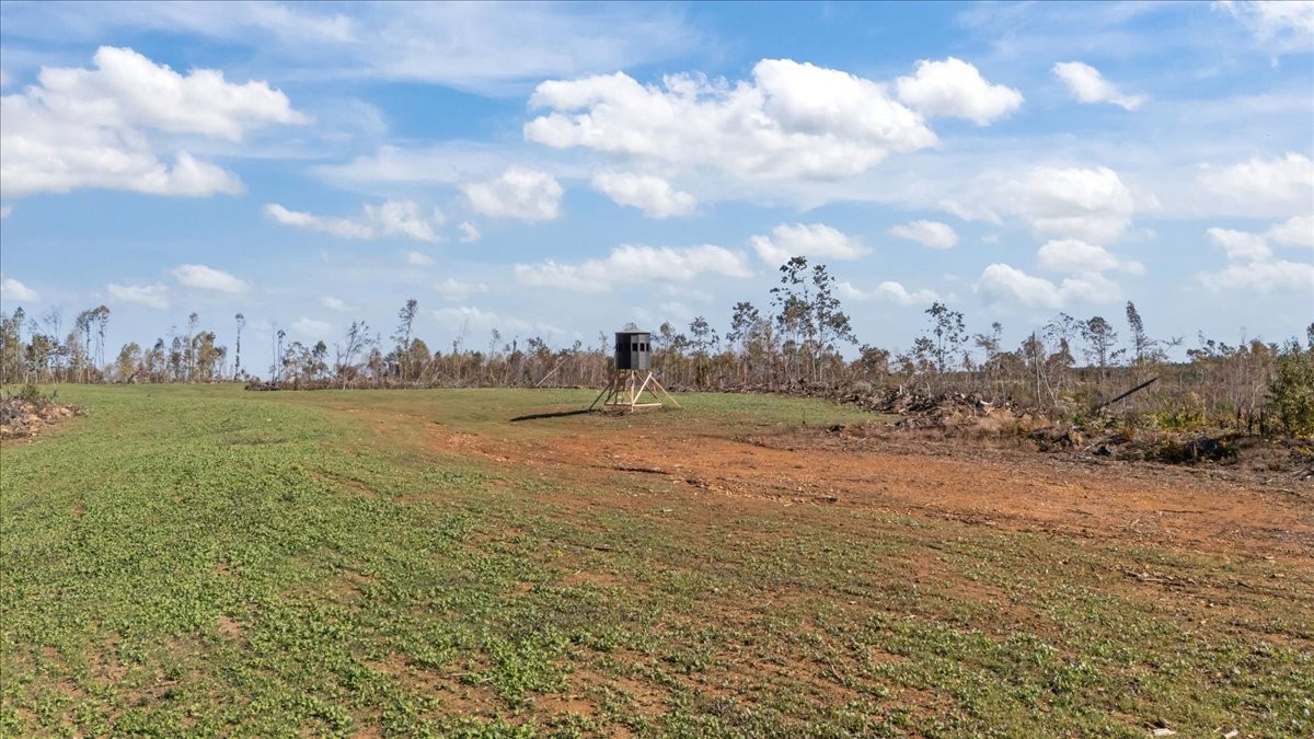 0 Birdsong Road Holladay, TN 38341 - Photo 18 of 47
