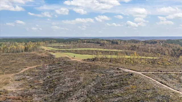 a view of a dry yard with wooden fence