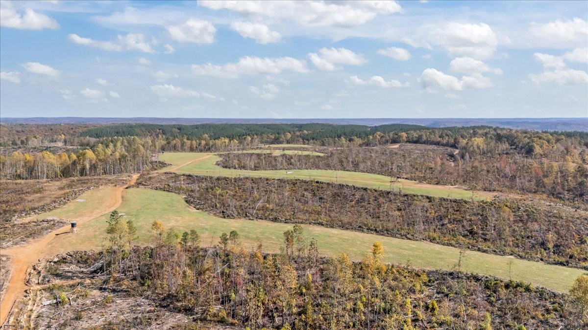 0 Birdsong Road Holladay, TN 38341 - Photo 20 of 47