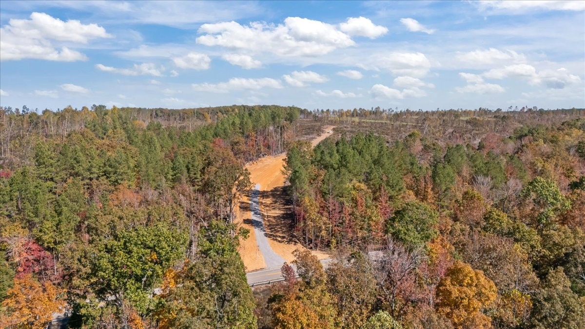 0 Birdsong Road Holladay, TN 38341 - Photo 21 of 47