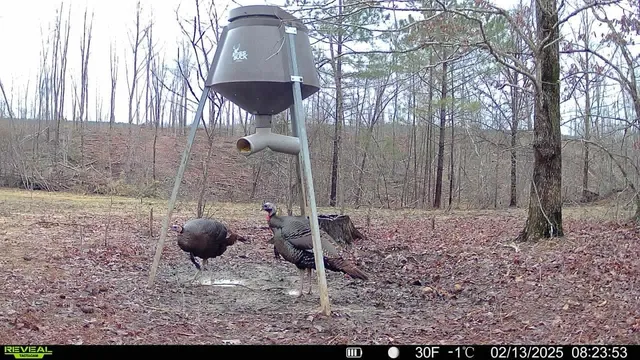 $609,900 | 0 Birdsong Road, Holladay, TN 38341