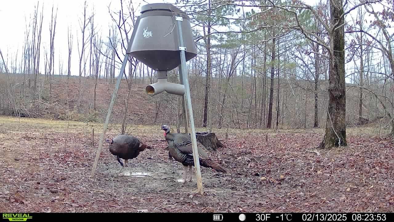 0 Birdsong Road Holladay, TN 38341 - Photo 28 of 47