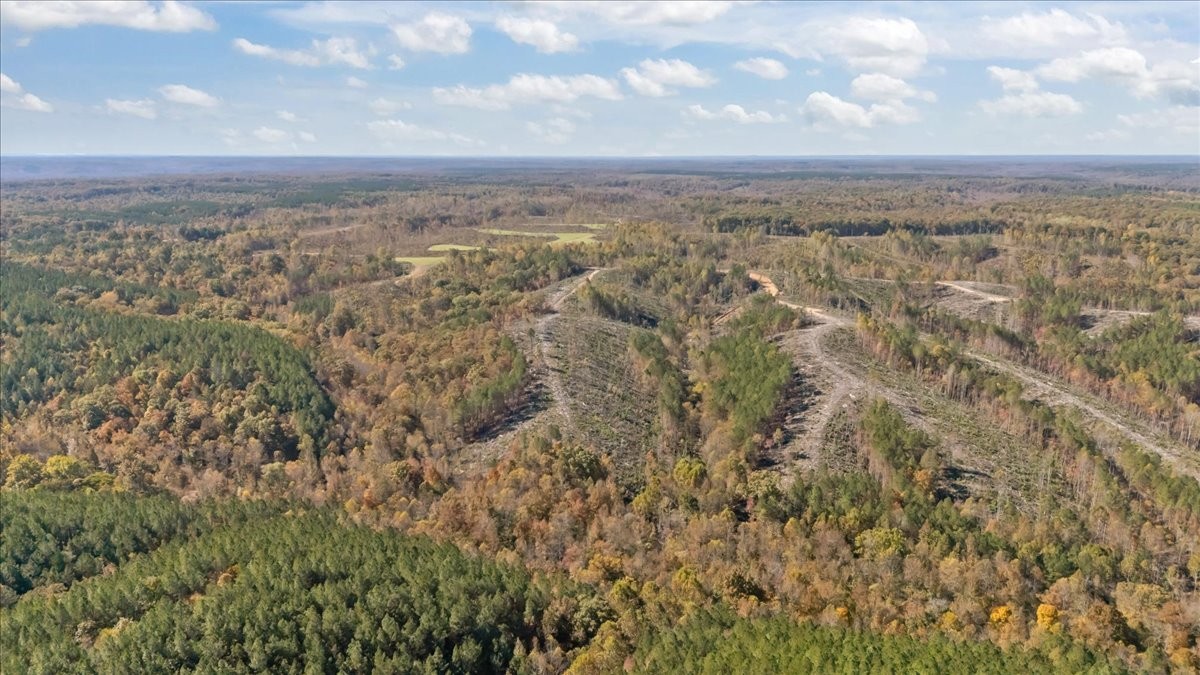 0 Birdsong Road Holladay, TN 38341 - Photo 31 of 47