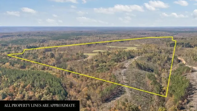 $609,900 | 0 Birdsong Road, Holladay, TN 38341