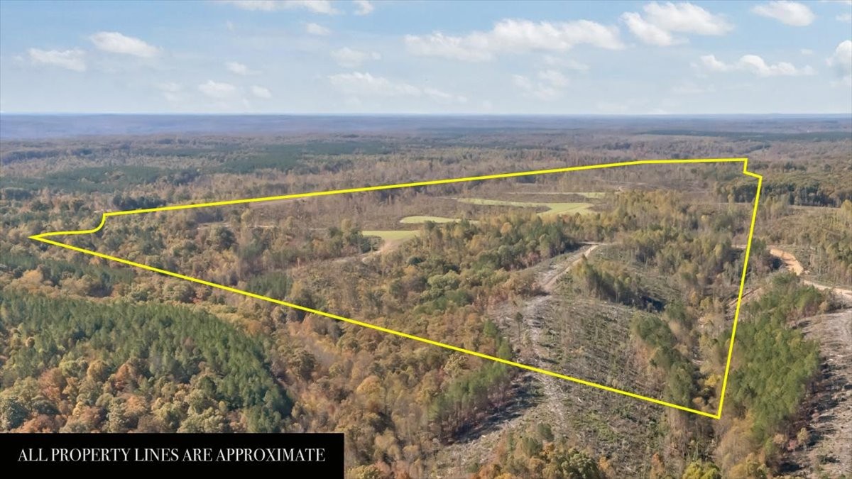 0 Birdsong Road Holladay, TN 38341 - Photo 32 of 47