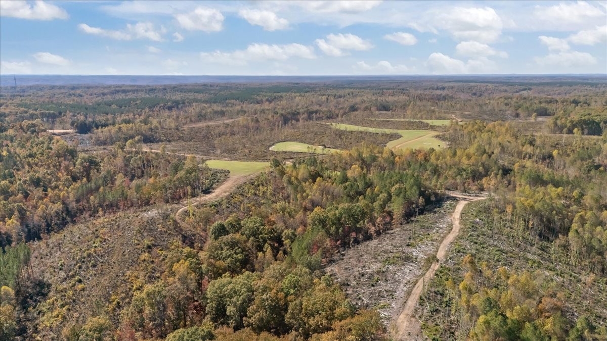 0 Birdsong Road Holladay, TN 38341 - Photo 33 of 47 a view of a yard with an outdoor seating