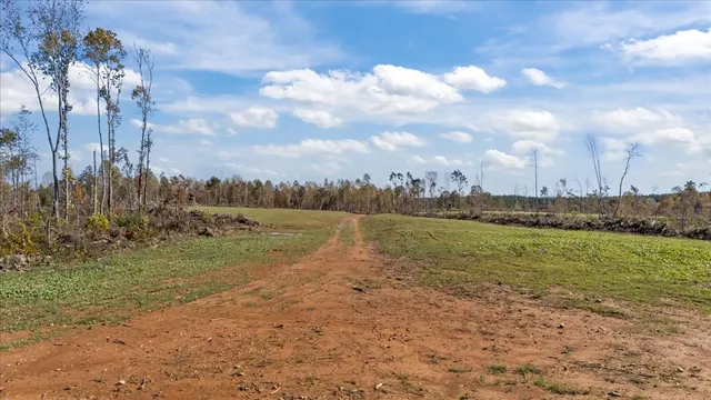 $609,900 | 0 Birdsong Road, Holladay, TN 38341