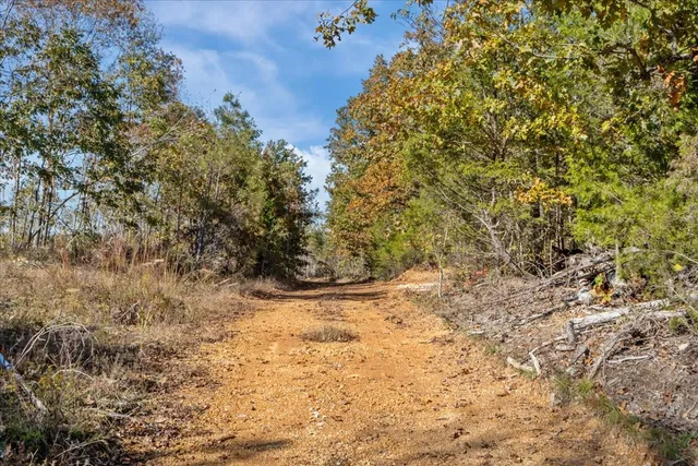 $609,900 | 0 Birdsong Road, Holladay, TN 38341