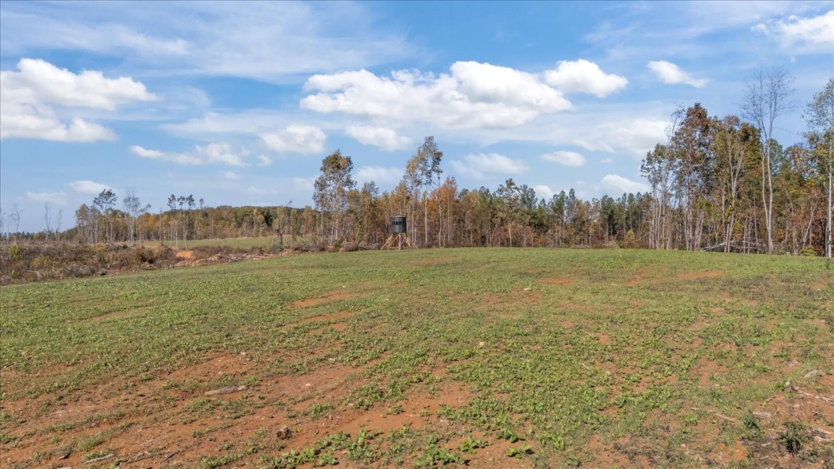 0 Birdsong Road Holladay, TN 38341 - Photo 37 of 47