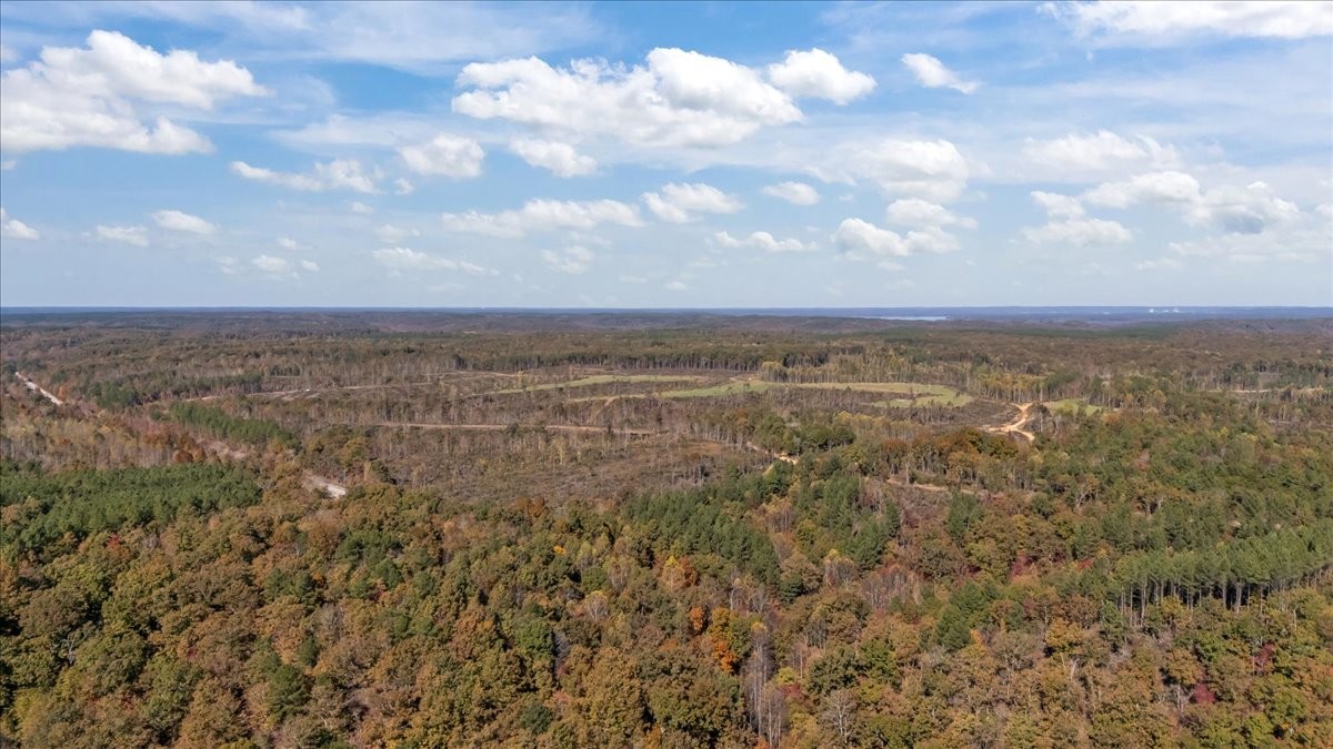 0 Birdsong Road Holladay, TN 38341 - Photo 39 of 47 a view of beach and city