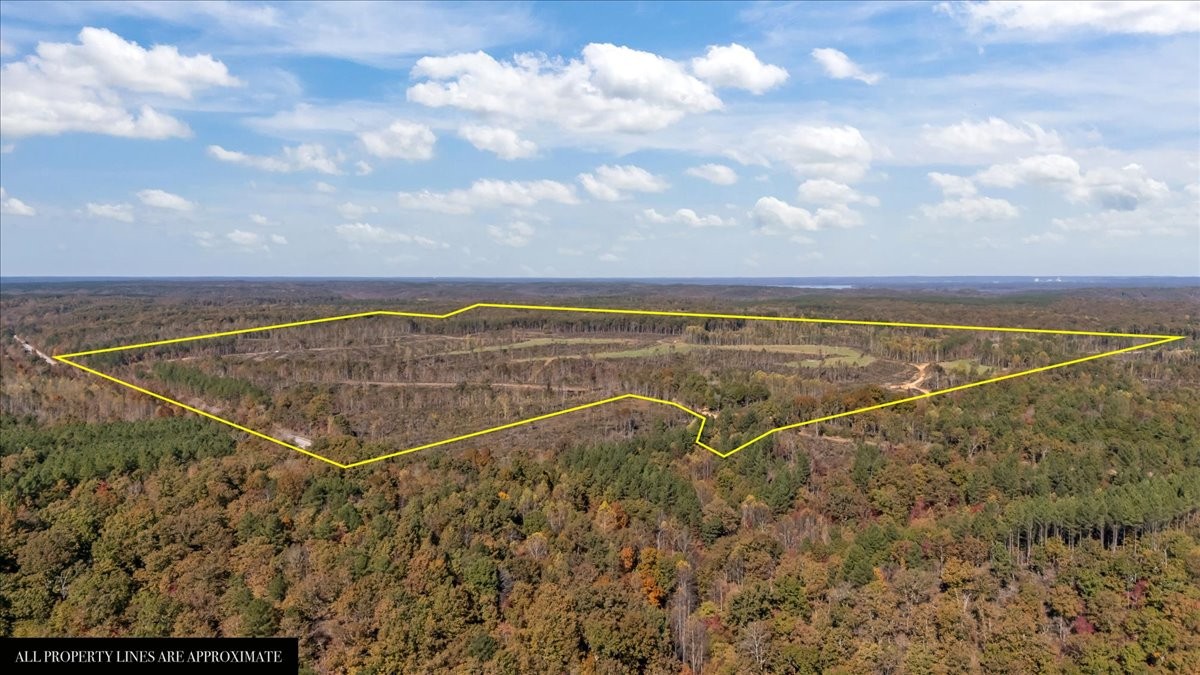 0 Birdsong Road Holladay, TN 38341 - Photo 40 of 47