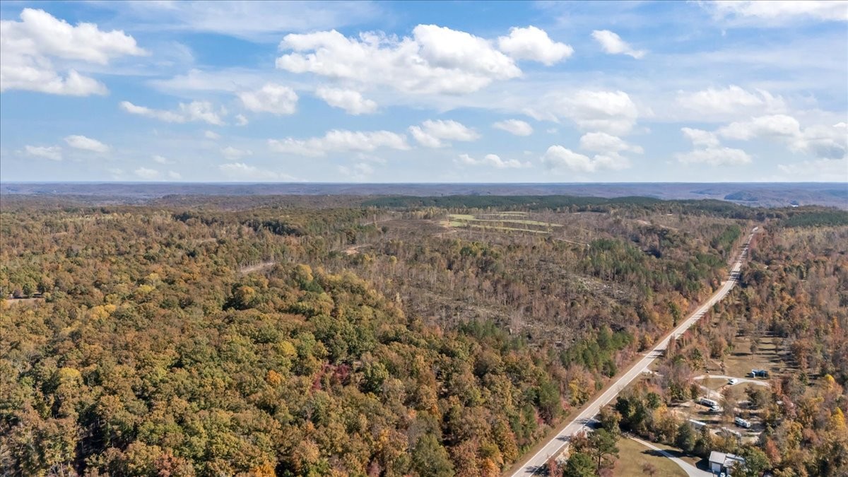 0 Birdsong Road Holladay, TN 38341 - Photo 41 of 47 a view of a city with lots of trees