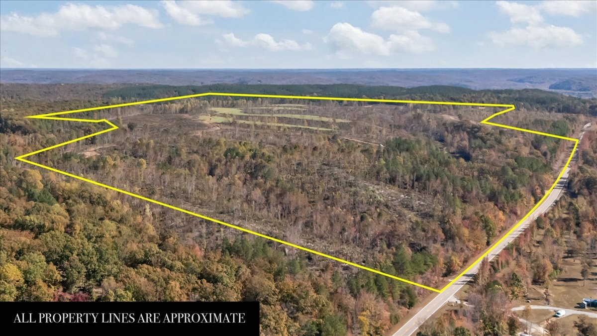 0 Birdsong Road Holladay, TN 38341 - Photo 42 of 47