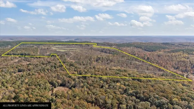 $609,900 | 0 Birdsong Road, Holladay, TN 38341