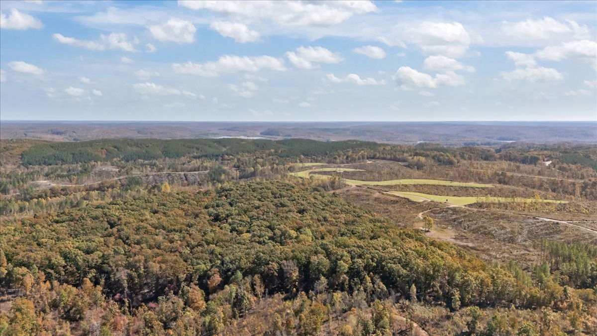 0 Birdsong Road Holladay, TN 38341 - Photo 45 of 47