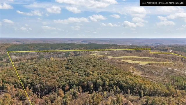 $609,900 | 0 Birdsong Road, Holladay, TN 38341