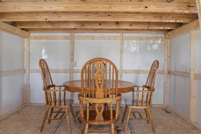 a view of a garden with plants and large trees