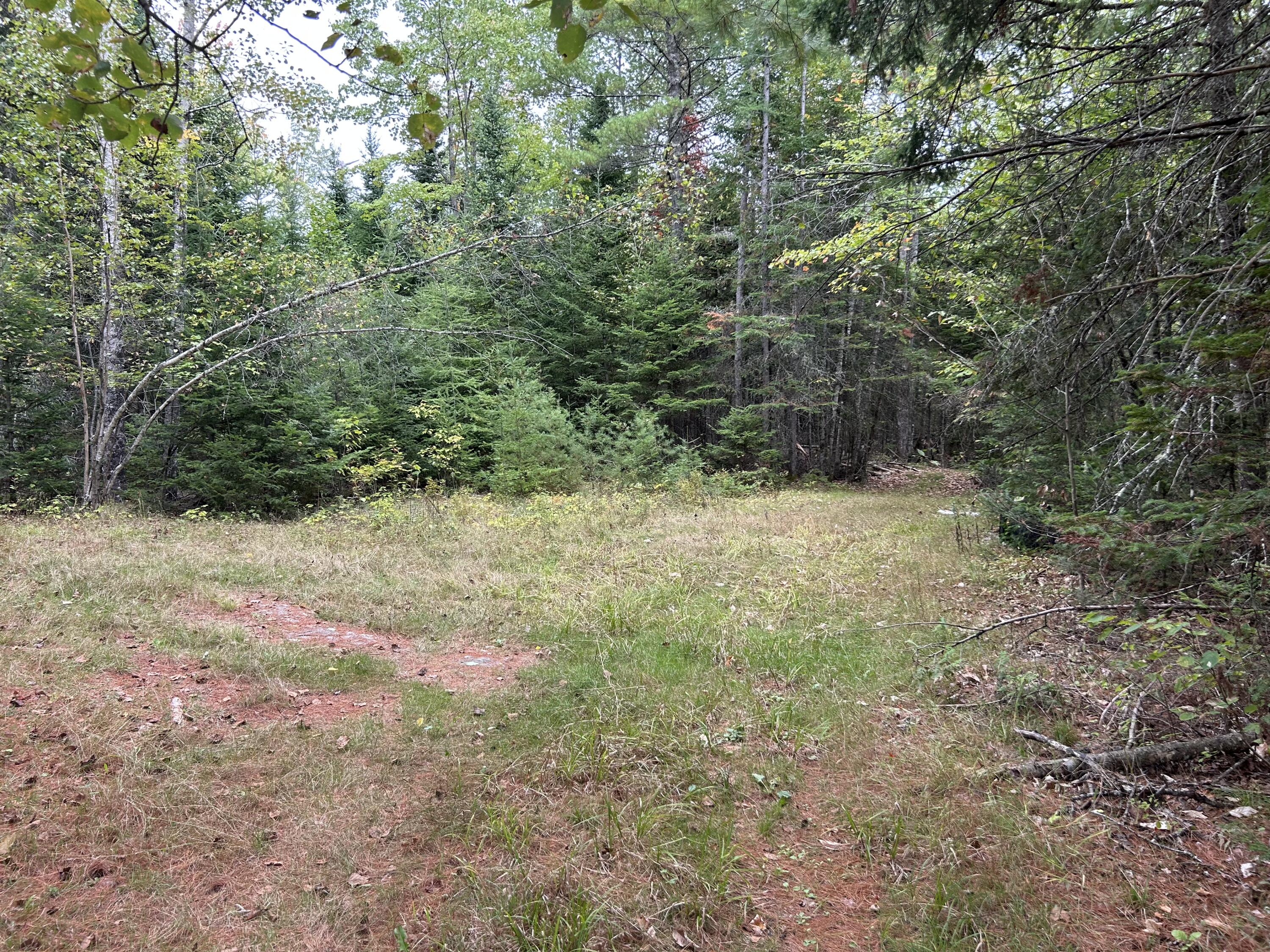 77 Ridge Road Charleston, ME 04422 - Photo 5 of 7 IMG_0864