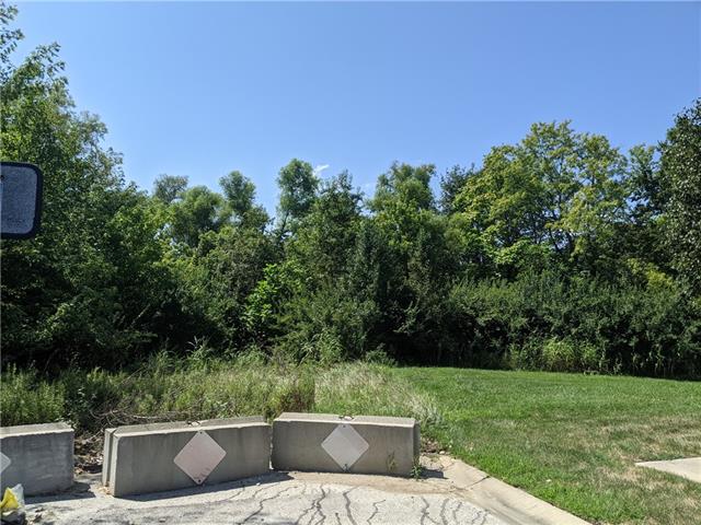 Madison Drive Raymore, MO 64083 - Photo 6 of 9