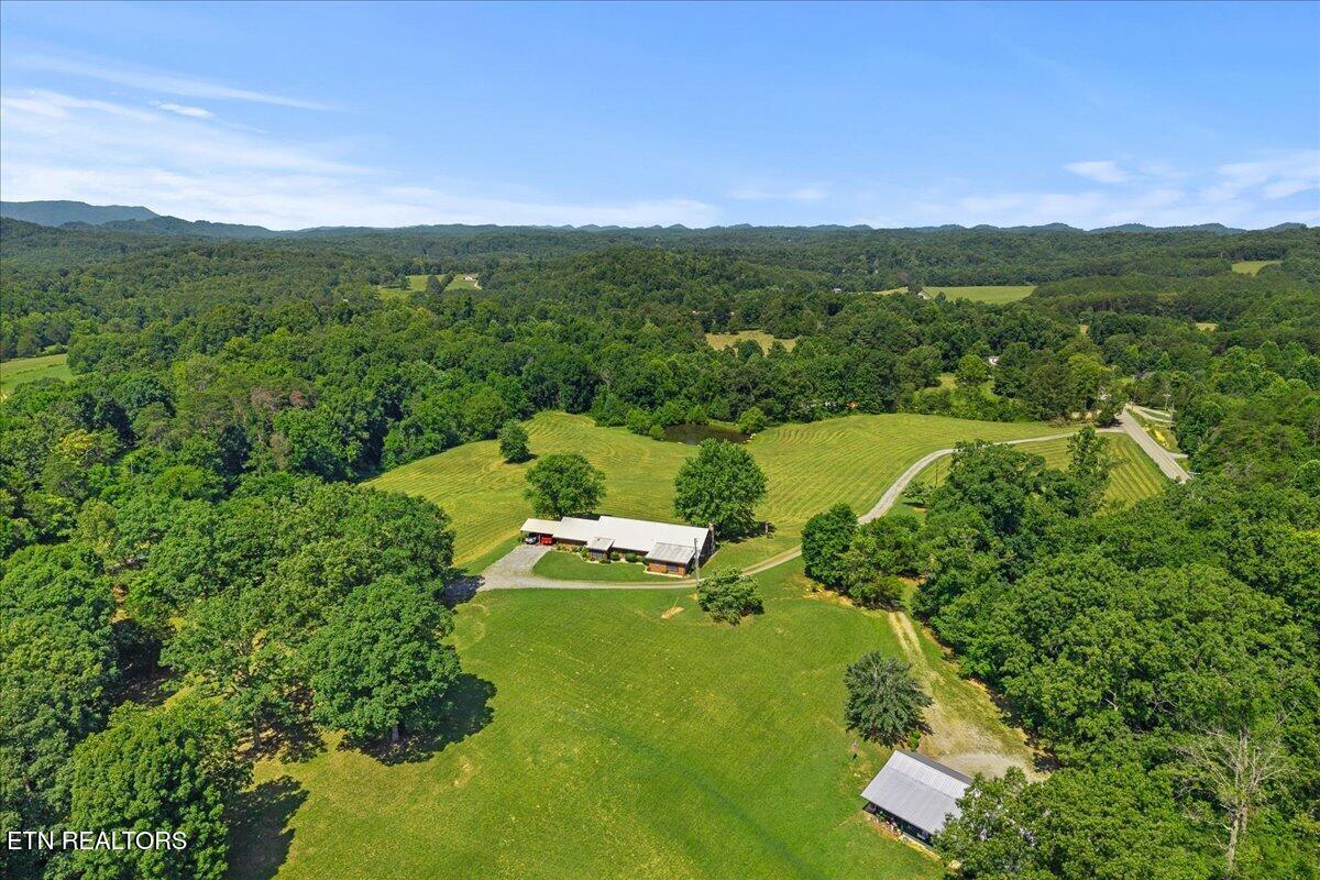 910 Reagan Valley Road Tellico Plains, TN 37385 - Photo 42 of 49 42
