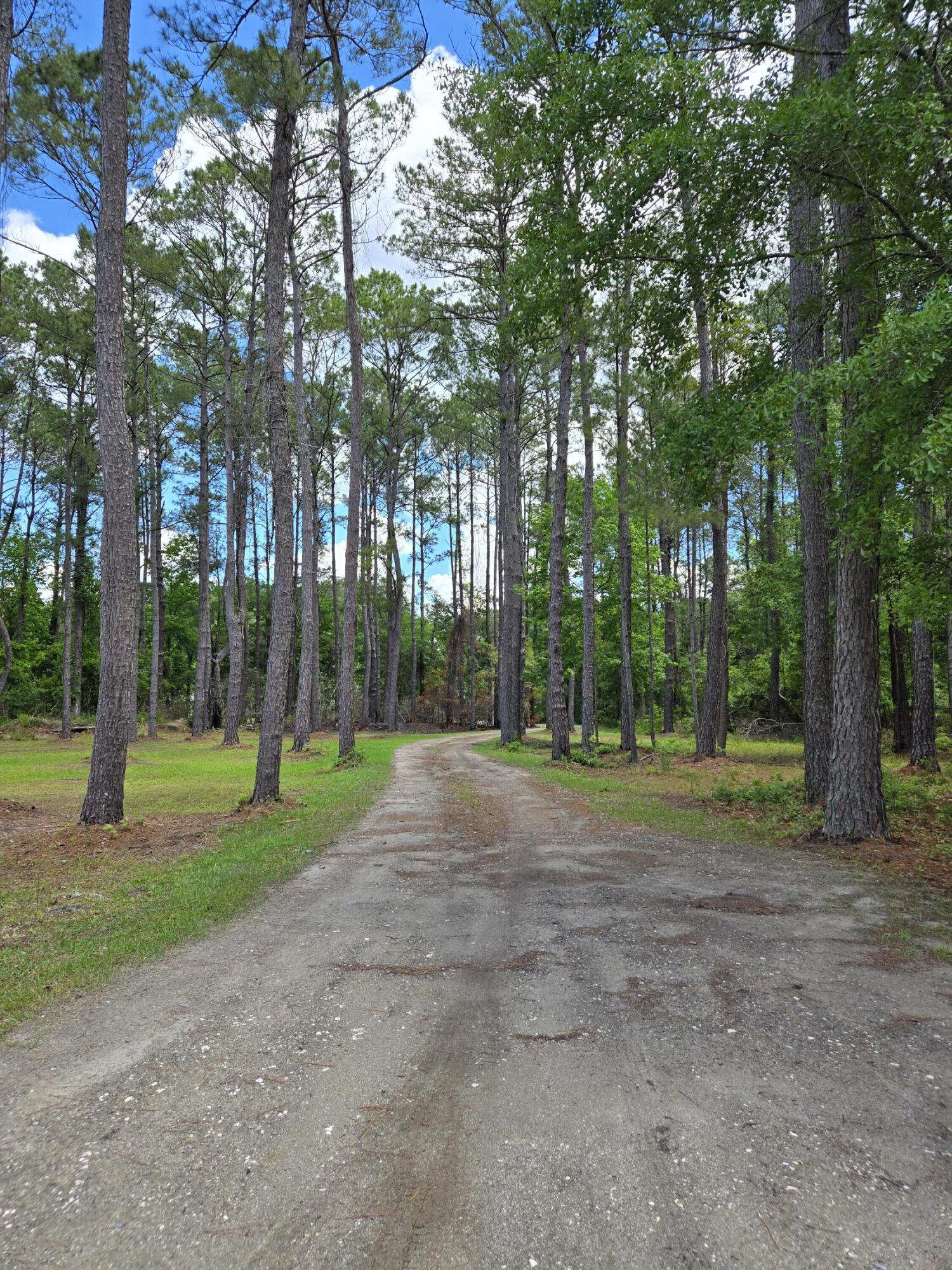 3113 Edenvale Road Johns Island, SC 29455 - Photo 8 of 78 20250513_125817