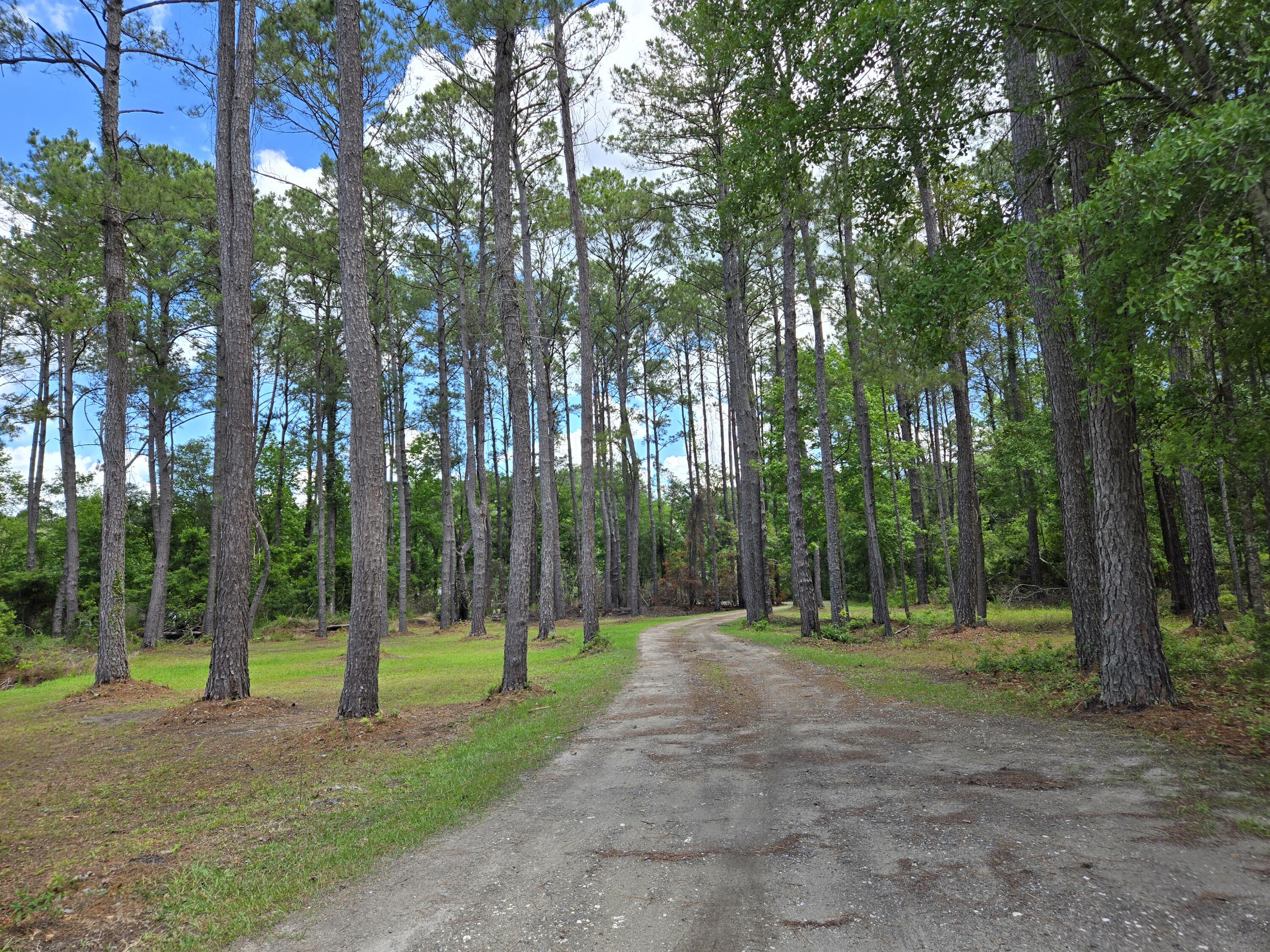 3113 Edenvale Road Johns Island, SC 29455 - Photo 9 of 78 20250513_125822