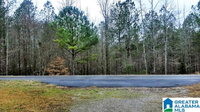 5489 Highway 9 Heflin, AL 36264 - Photo 44 of 50