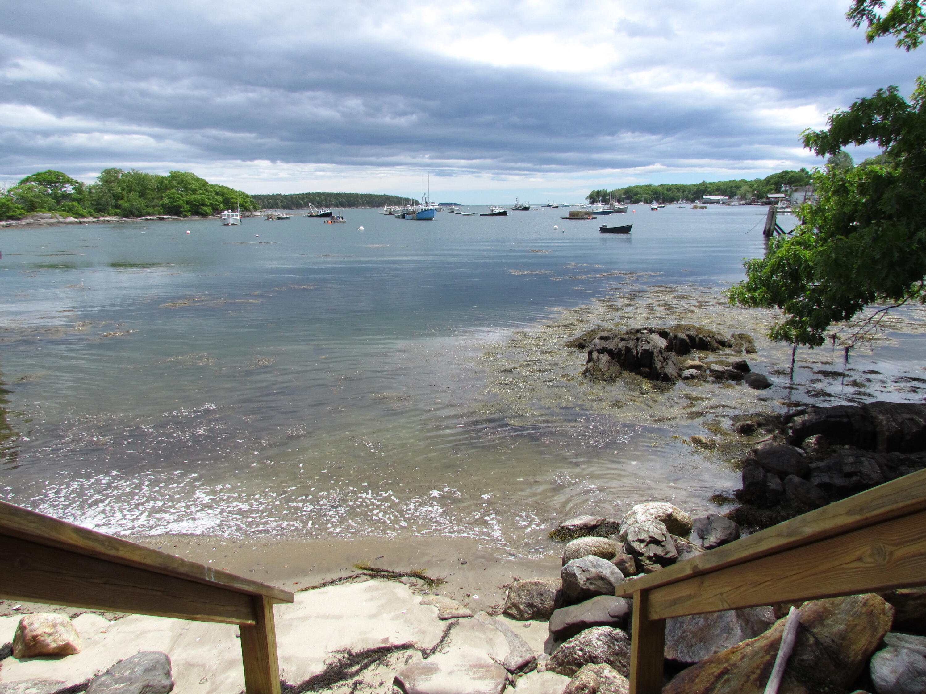 25 Field Road Harpswell, ME 04079 - Photo 38 of 44 Ocean Life