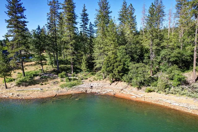 a view of yard with green space