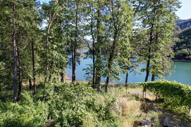 a backyard of a house with lots of green space and fountain
