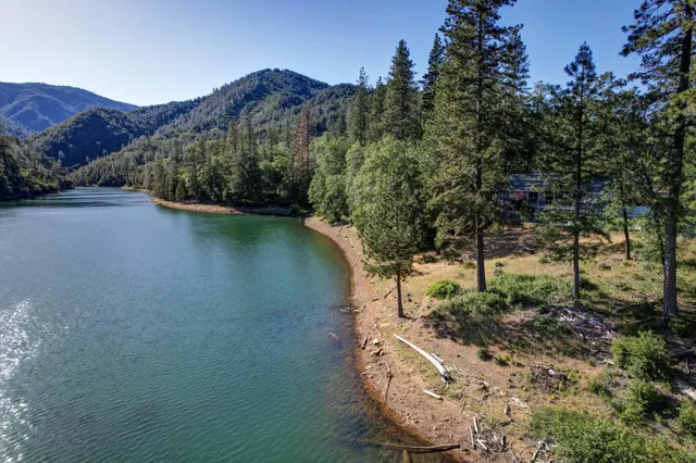 a view of a lake in middle of forest