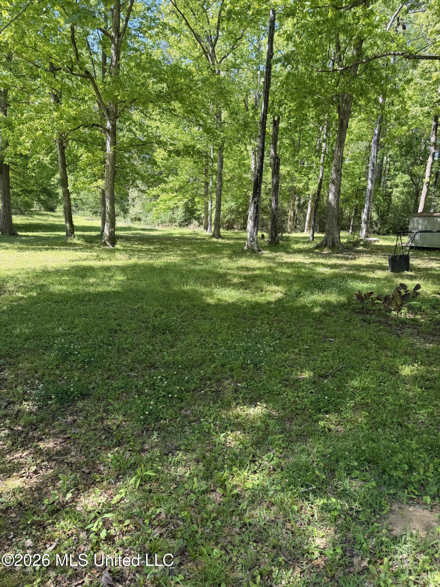 1028 Busy Corner Road Gloster, MS 39638 - Photo 4 of 20 IMG_2349