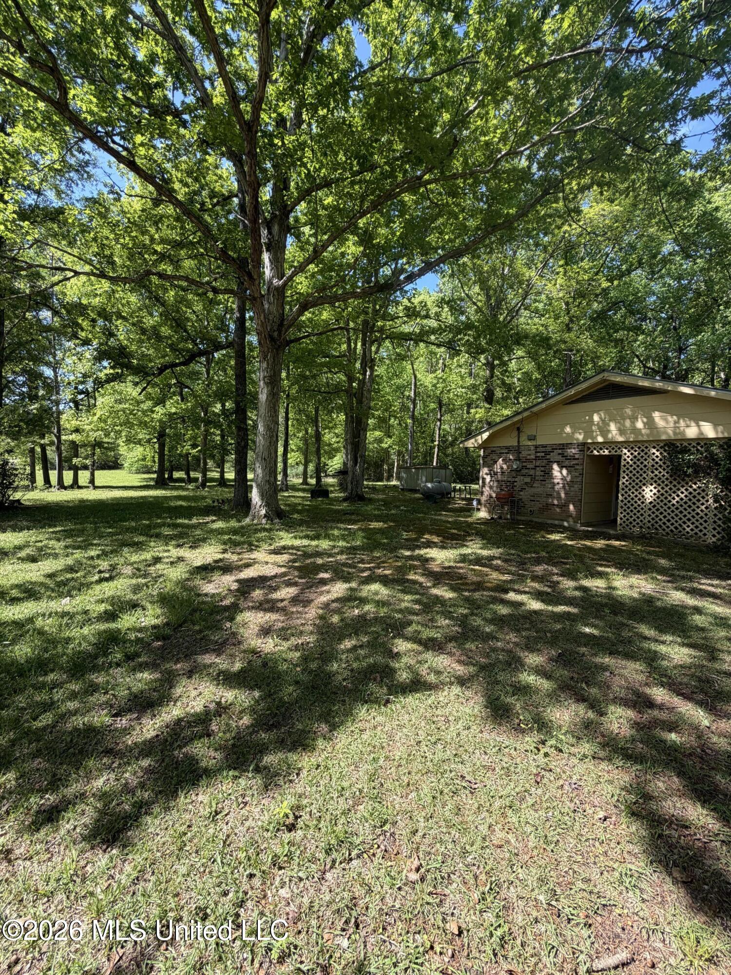 1028 Busy Corner Road Gloster, MS 39638 - Photo 5 of 20 IMG_2350