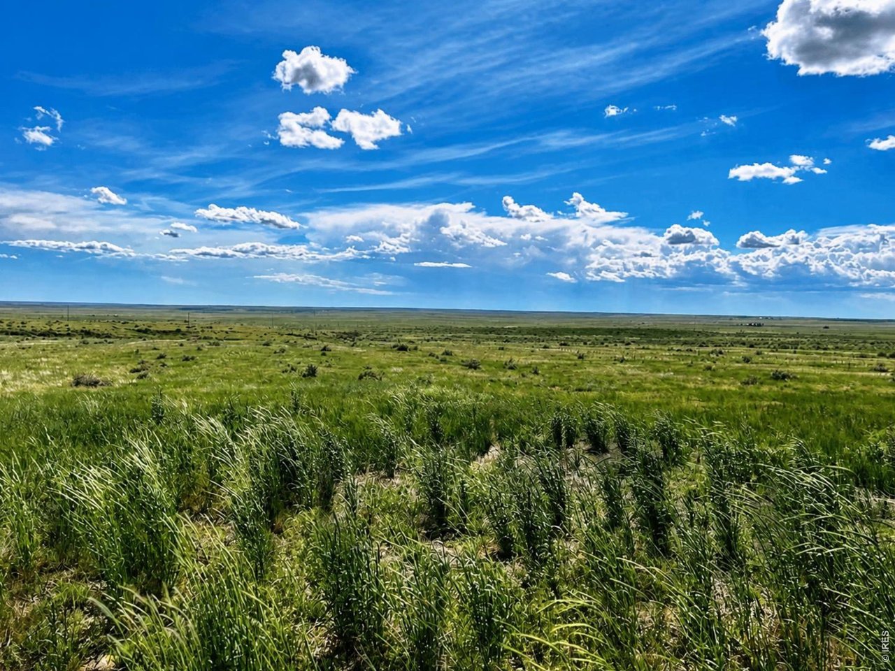 80 County Road Briggsdale, CO 80611 - Photo 5 of 6