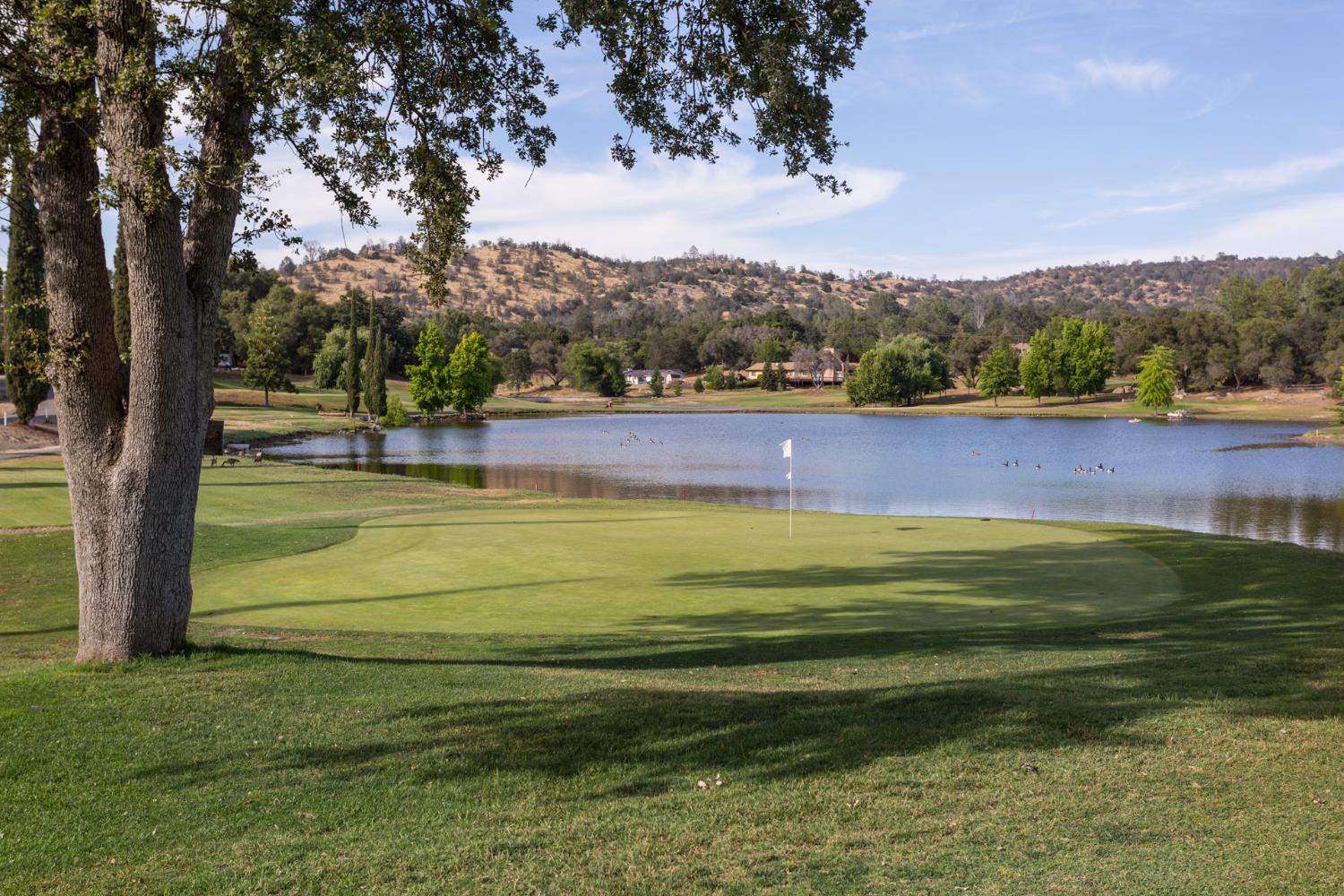 29348 Powder Horn Way Coarsegold, CA 93614 - Photo 58 of 66