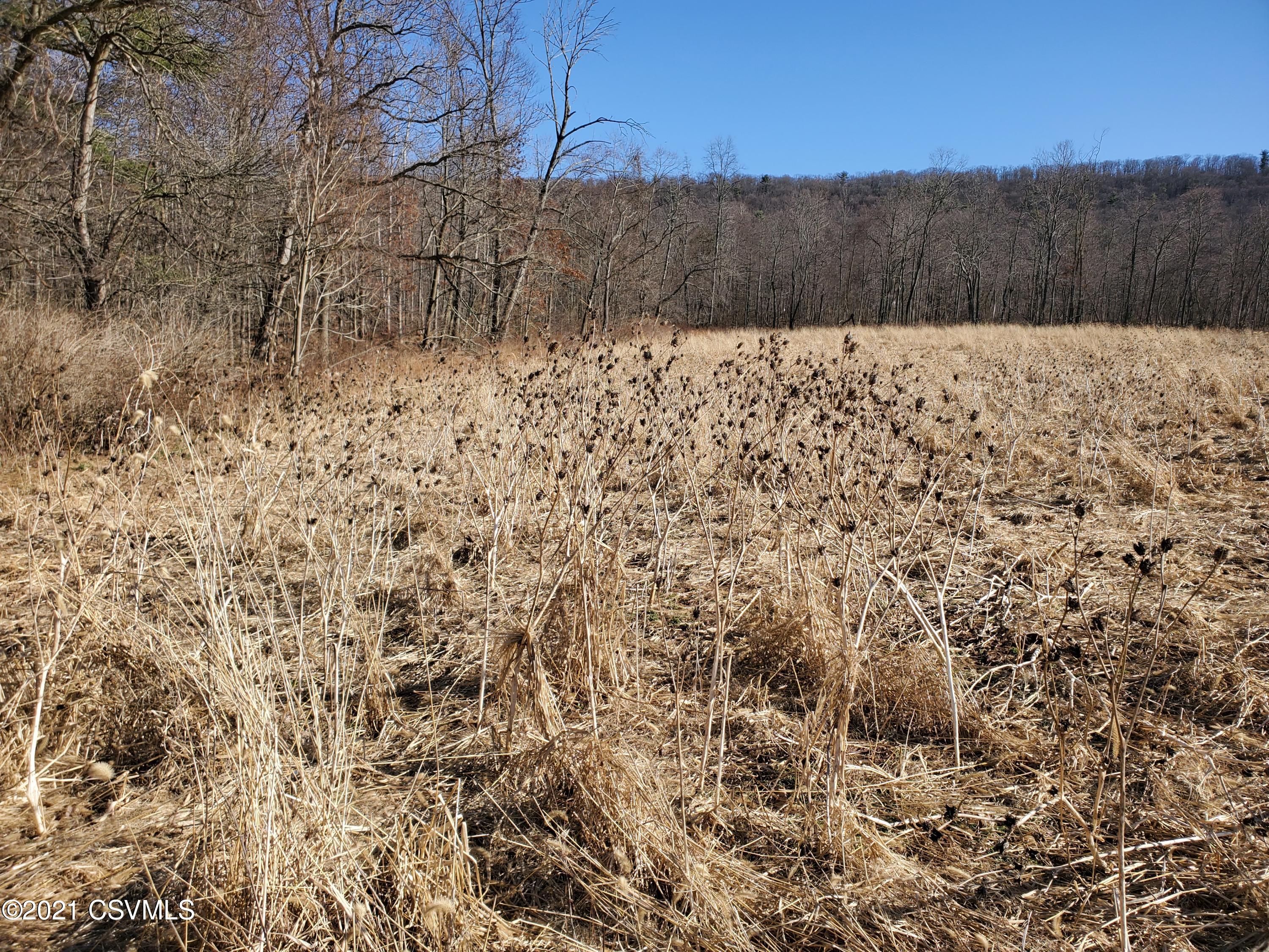 Lot 2 Drumheller Road Paxinos, PA 17860 - Photo 4 of 9 Gallery Image 4