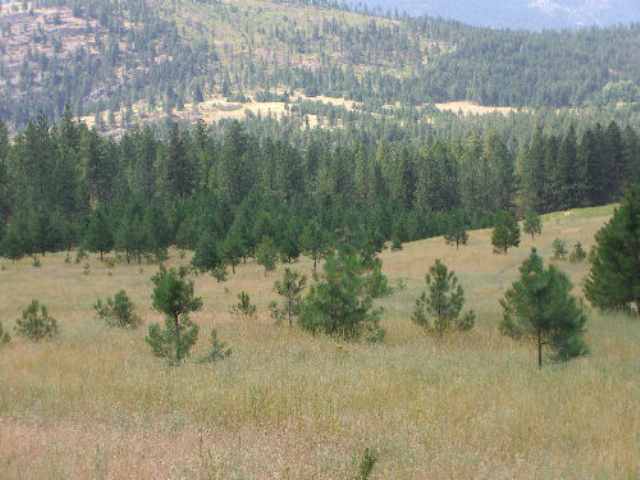 1043 Lot C Philleo Road Addy, WA 99101 - Photo 2 of 9 Gallery Image 2