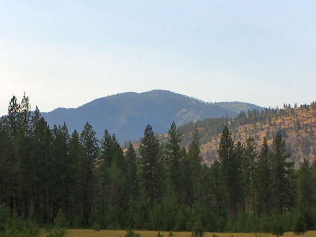 1043 Lot C Philleo Road Addy, WA 99101 - Photo 4 of 9 Gallery Image 4