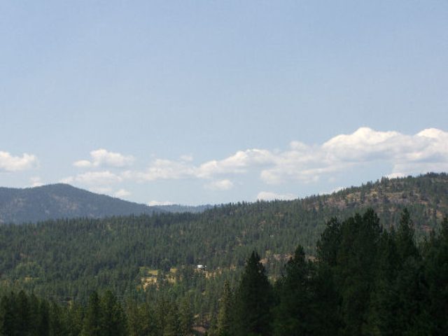 1043 Lot C Philleo Road Addy, WA 99101 - Photo 5 of 9 Gallery Image 5