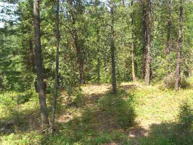1043 Lot C Philleo Road Addy, WA 99101 - Photo 6 of 9 Gallery Image 6