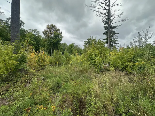 $189,900 | 45 Cloquet Mn 55720, Cloquet, MN 55720