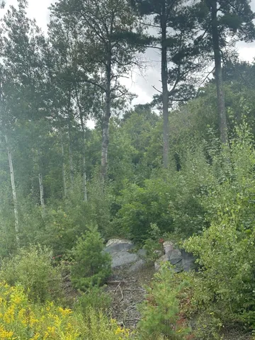 $189,900 | 45 Cloquet Mn 55720, Cloquet, MN 55720