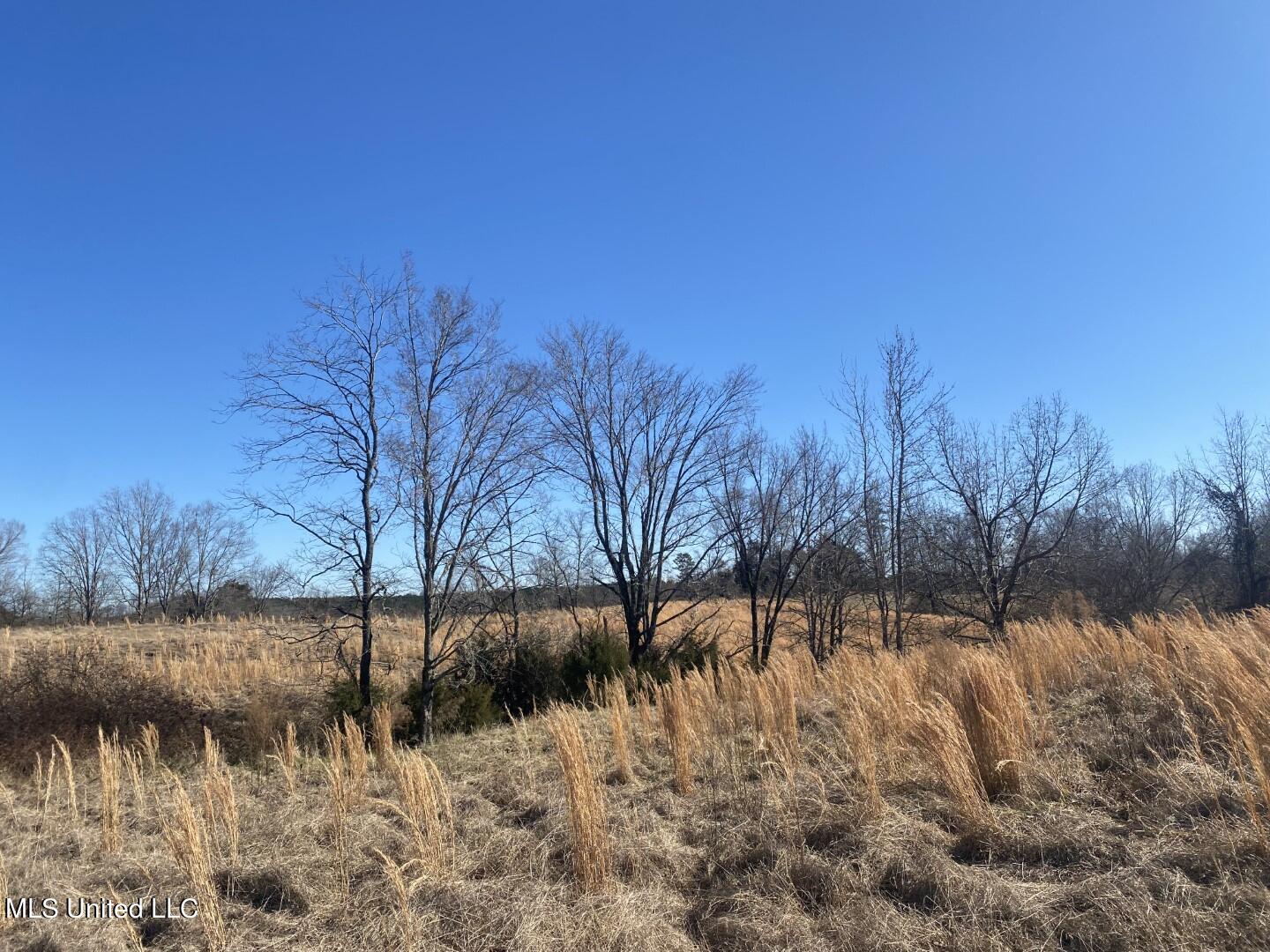 James Road Oakland, MS 38948 - Photo 31 of 48 38