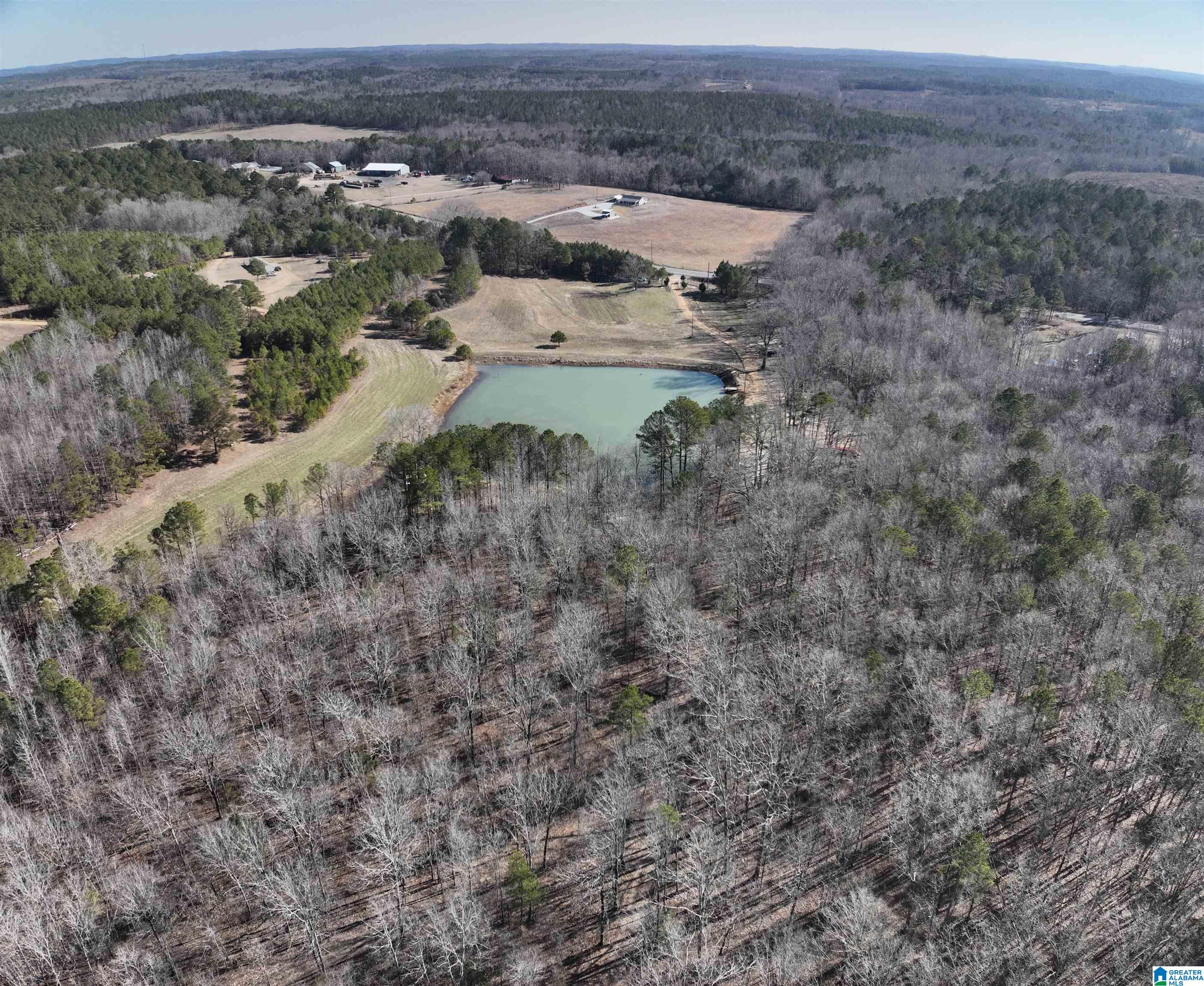 6171 Highway 102, Unit 1 Fayette, AL 35555 - Photo 2 of 68