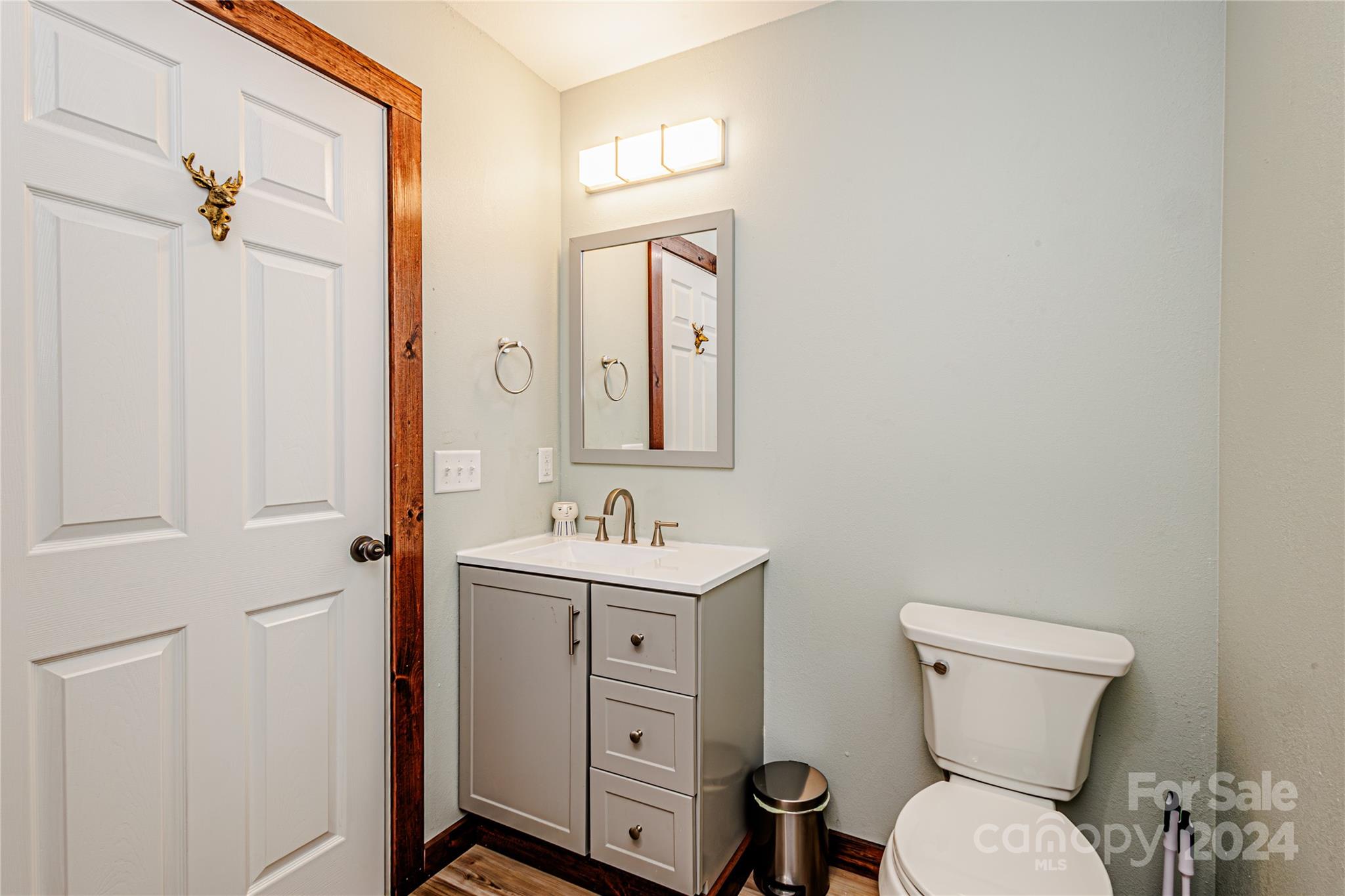 1233 Bryson Branch Road Bryson City, NC 28713 - Photo 15 of 28 a bathroom with a toilet a sink and mirror