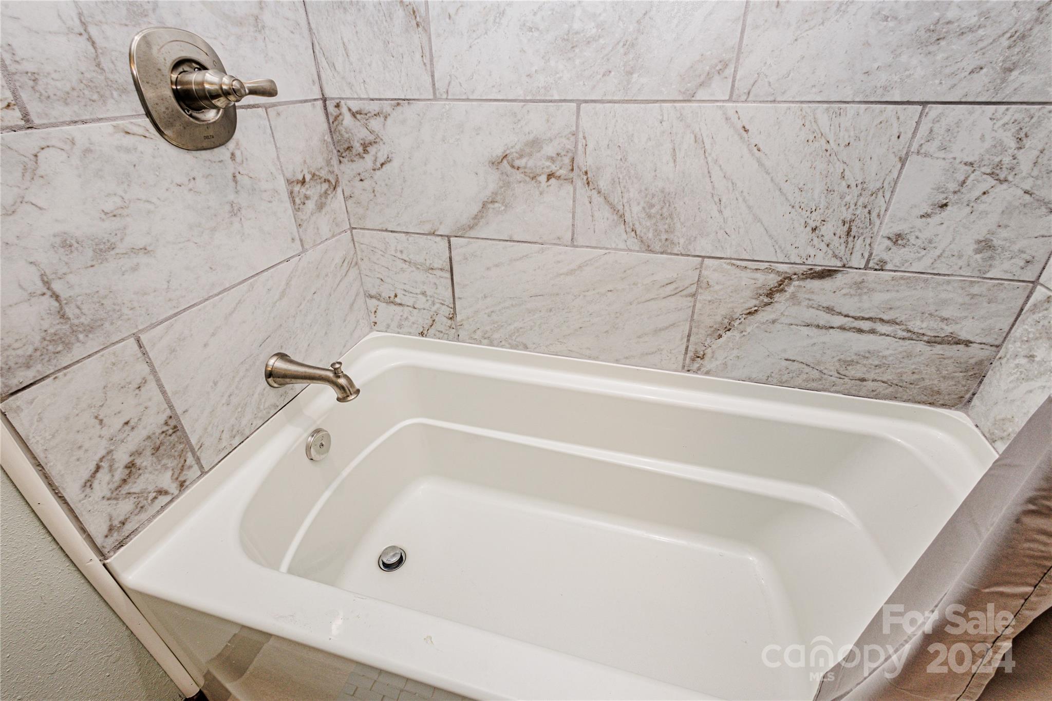 1233 Bryson Branch Road Bryson City, NC 28713 - Photo 16 of 28 a bathroom with a bathtub