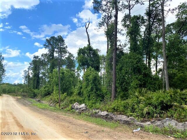 110 Mallard Road Satsuma, FL 32189 - Photo 1 of 8 a view of a yard with plants and trees