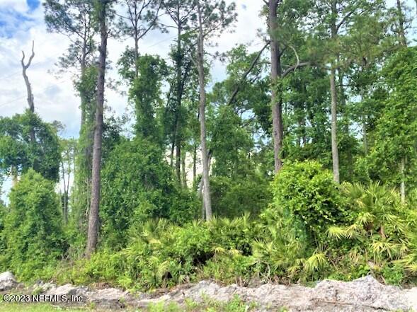 110 Mallard Road Satsuma, FL 32189 - Photo 2 of 8 a view of a forest with trees